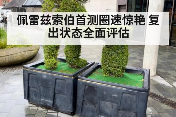 佩雷兹索伯首测圈速惊艳 复出状态全面评估
