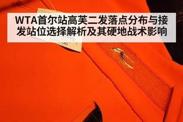 WTA首尔站高芙二发落点分布与接发站位选择解析及其硬地战术影响