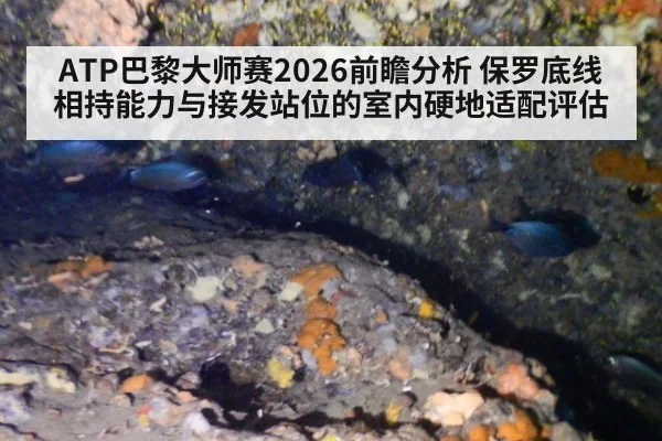 ATP巴黎大师赛2026前瞻分析 保罗底线相持能力与接发站位的室内硬地适配评估